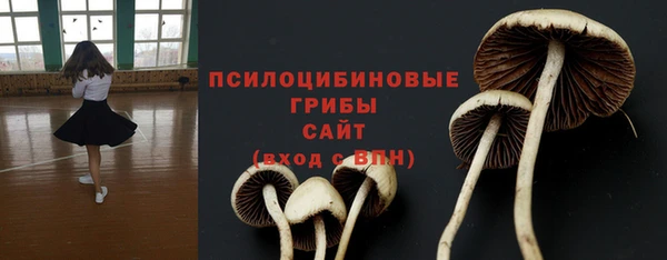стафф Нефтегорск