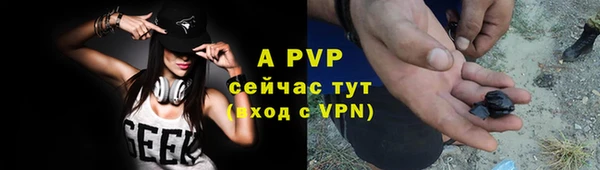 сатива Арсеньев