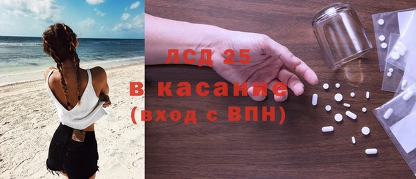 сатива Лабытнанги