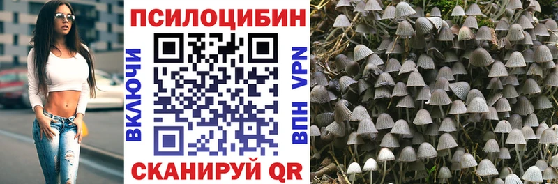 Псилоцибиновые грибы Cubensis купить Короча